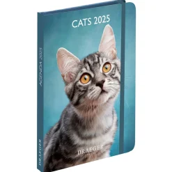 Agendas*Draeger Paris Agenda de Poche 2025 - Chat