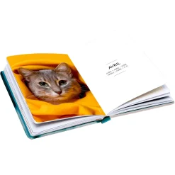 Agendas*Draeger Paris Agenda de Poche 2025 - Chat