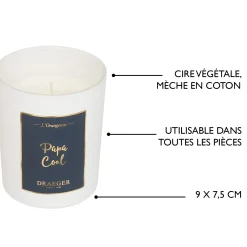 Bougies & Photophores*Draeger Paris Bougie cadeau - Papa Cool