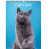 Calendriers|Agendas*Draeger Paris Calendrier Mural 2025 Décoration 29x39 cm - Chats
