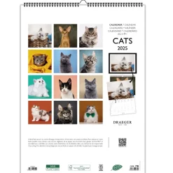 Calendriers|Agendas*Draeger Paris Calendrier Mural 2025 Décoration 29x39 cm - Chats