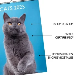 Calendriers|Agendas*Draeger Paris Calendrier Mural déco 29x39 cm 2025