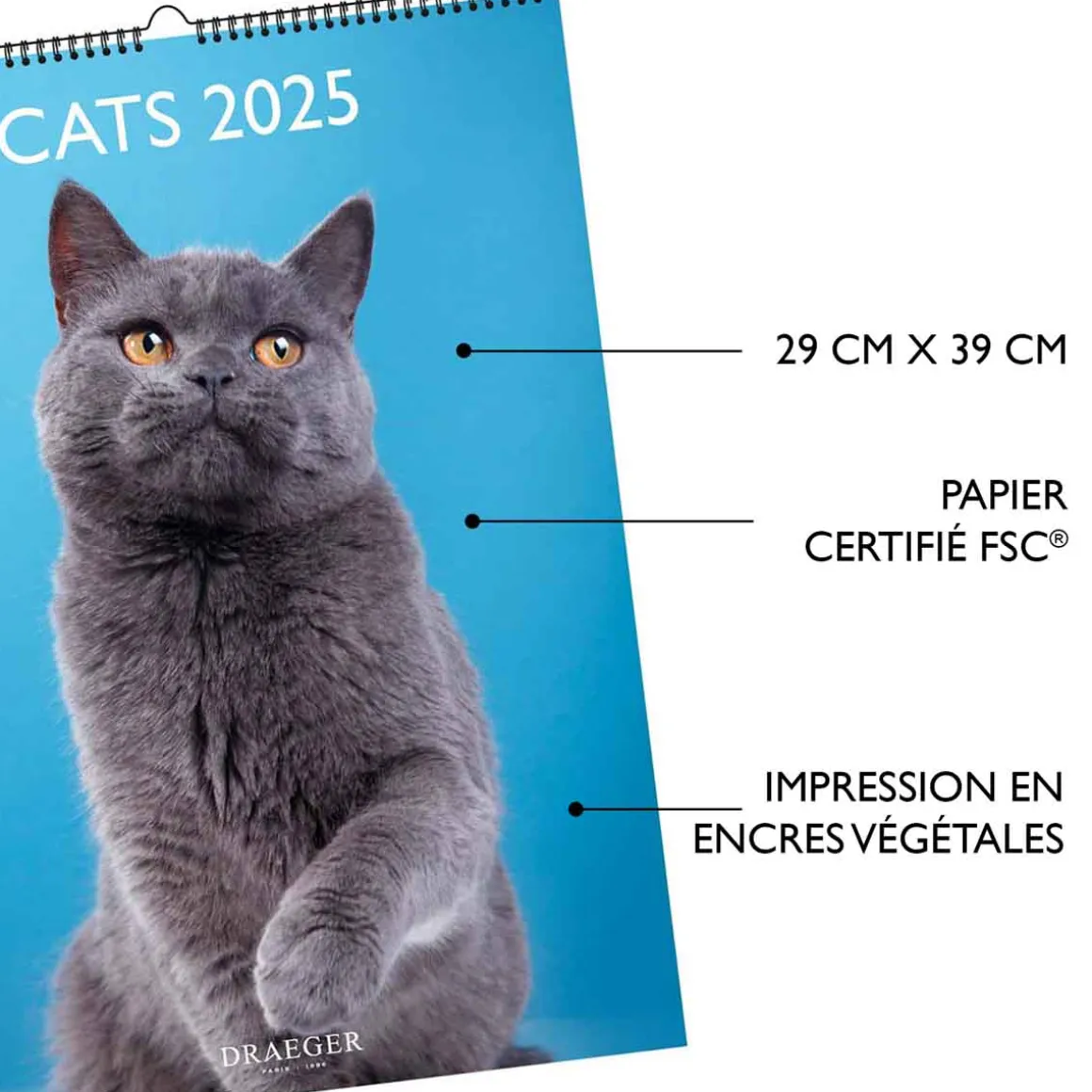 Calendriers|Agendas*Draeger Paris Calendrier Mural déco 29x39 cm 2025