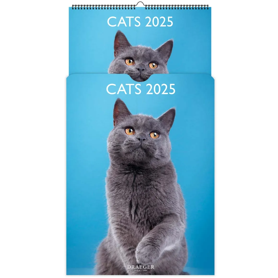 Calendriers|Agendas*Draeger Paris Calendrier Mural déco 29x39 cm 2025