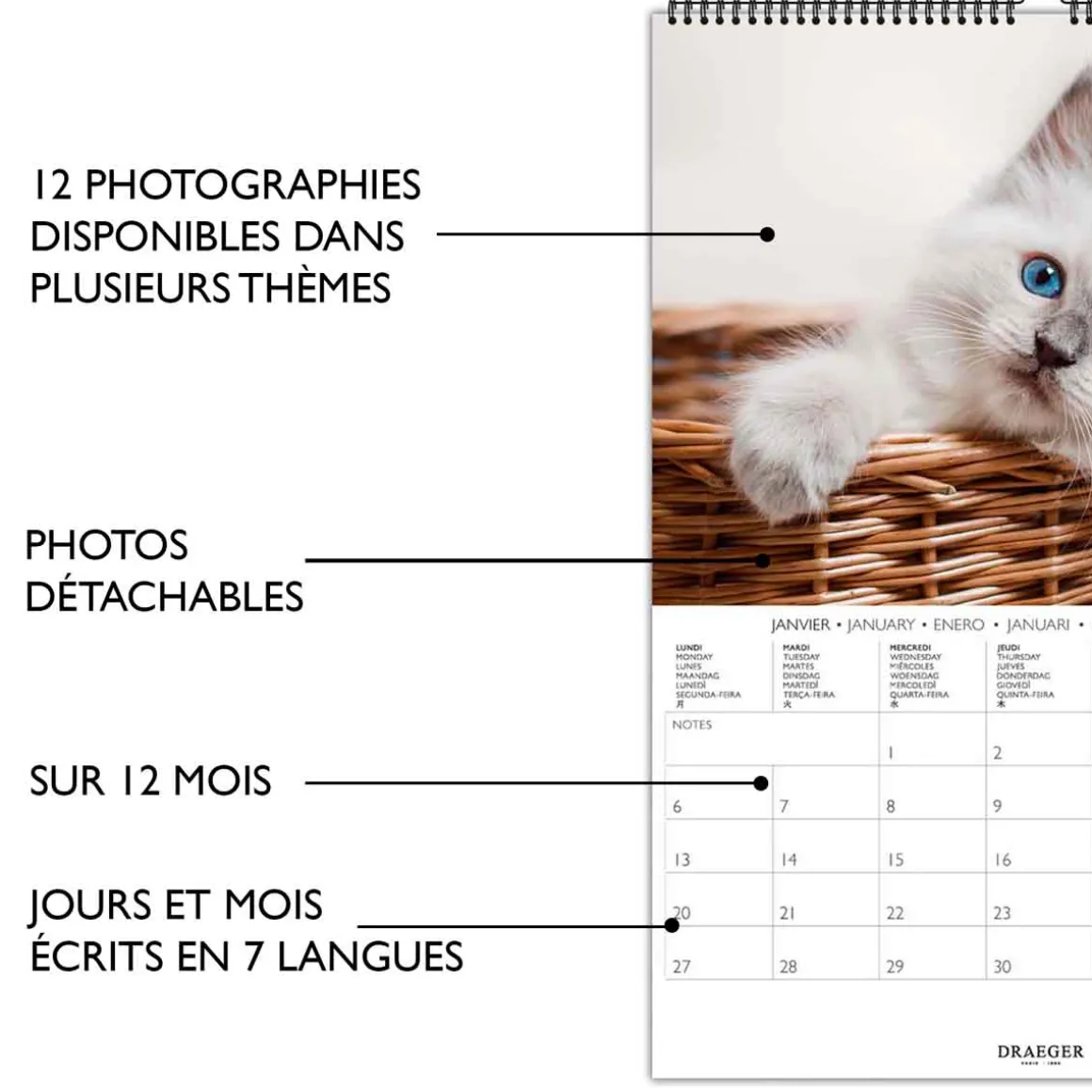 Calendriers|Agendas*Draeger Paris Calendrier Mural déco 29x39 cm 2025