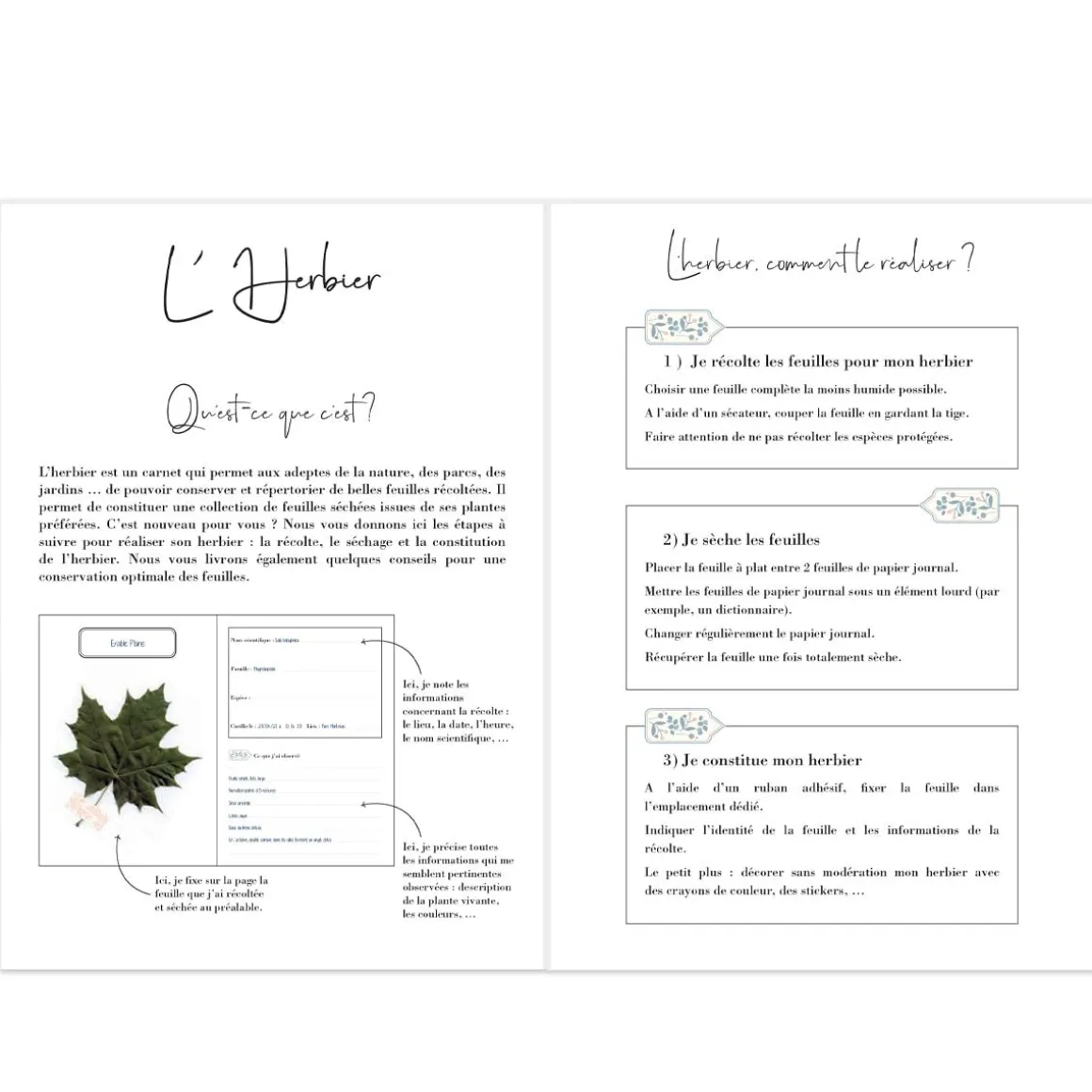 Organiseurs|Carnets & Blocs-notes*Draeger Paris Carnet herbier A5