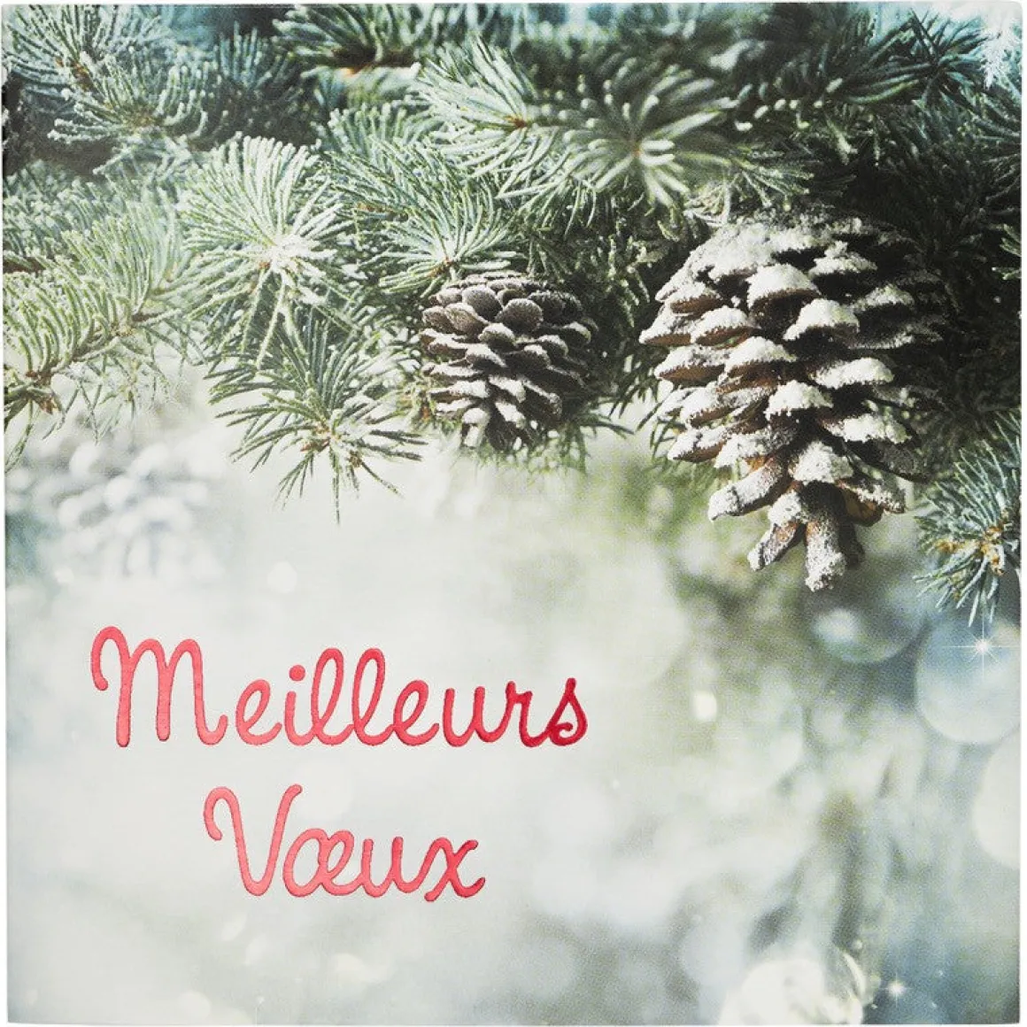 Partenariat Croix Rouge Francaise*Draeger Paris Coffret cartes de voeux Croix-Rouge Meilleurs voeux - Sapin