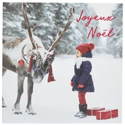 Partenariat Croix Rouge Francaise|Cartes De Noêl*Draeger Paris Coffret cartes de voeux Croix-Rouge Joyeux Noël