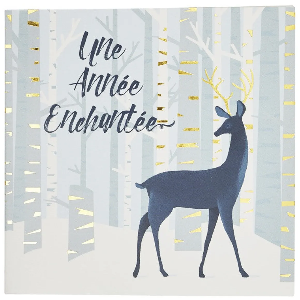 Partenariat Croix Rouge Francaise*Draeger Paris Coffret cartes de voeux Croix-Rouge Une Année enchantée