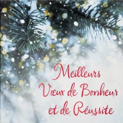 Partenariat Croix Rouge Francaise*Draeger Paris Coffret cartes de voeux Croix-Rouge Bonheur et réussite