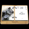 Agendas*Draeger Paris Coffret éphéméride Agenda Yvon 2025 - Edition Chat