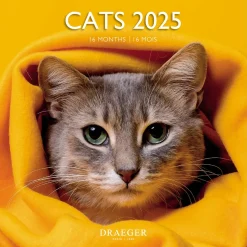 Calendriers|Agendas*Draeger Paris Grand Calendrier Mural 29x29 cm 2025 - Chats