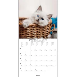 Calendriers|Agendas*Draeger Paris Grand Calendrier Mural 29x29 cm 2025 - Chats