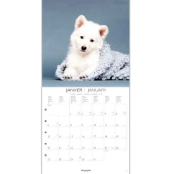 Calendriers|Agendas*Draeger Paris Grand Calendrier Mural 29x29 cm 2025 - Chiens