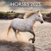 Calendriers|Agendas*Draeger Paris Grand Calendrier Mural 29x29 cm 2025 - Chevaux