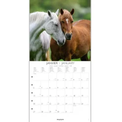 Calendriers|Agendas*Draeger Paris Grand Calendrier Mural 29x29 cm 2025 - Chevaux
