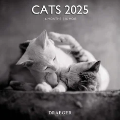 Calendriers|Agendas*Draeger Paris Grand Calendrier Mural 29x29 cm 2025 - Chats Black & White