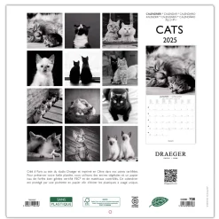 Calendriers|Agendas*Draeger Paris Grand Calendrier Mural 29x29 cm 2025 - Chats Black & White