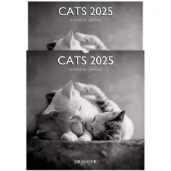 Calendriers|Agendas*Draeger Paris Grand Calendrier Mural 29x29 cm 2025 - Chats Black & White