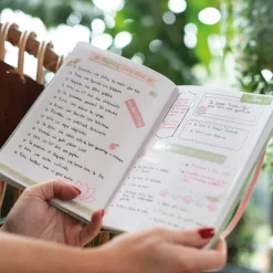 Stickers Muraux|Kit Démarrage*Draeger Paris Kit de décoration Bullet journal Wellness