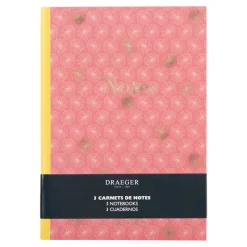 Carnets & Blocs-notes|Organiseurs*Draeger Paris Lot de 3 carnets A5 lignés - rose, vert