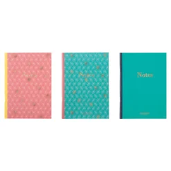 Carnets & Blocs-notes|Organiseurs*Draeger Paris Lot de 3 carnets A5 lignés - rose, vert
