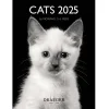 Calendriers|Agendas*Draeger Paris Petit Calendrier Mensuel 2025 14x18 cm - Chats Noir & blanc