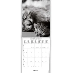 Calendriers|Agendas*Draeger Paris Petit Calendrier Mensuel 2025 14x18 cm - Chats Noir & blanc