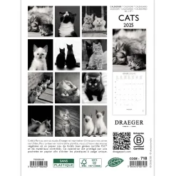 Calendriers|Agendas*Draeger Paris Petit Calendrier Mensuel 2025 14x18 cm - Chats Noir & blanc