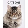 Calendriers|Agendas*Draeger Paris Petit Calendrier Mensuel 2025 14x18 cm - Chats