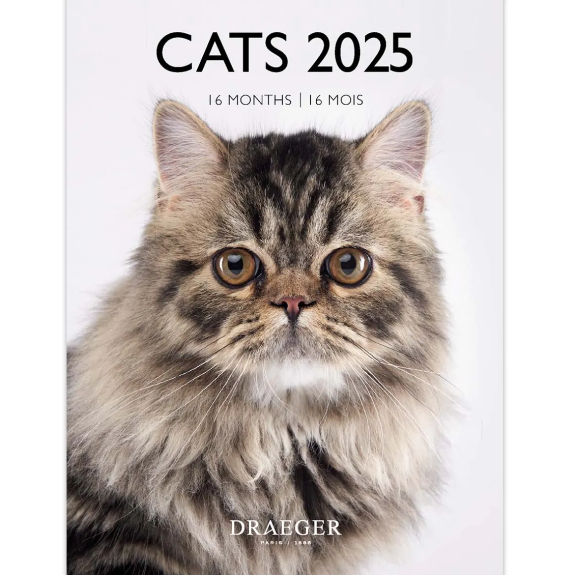 Calendriers|Agendas*Draeger Paris Petit Calendrier Mensuel 2025 14x18 cm - Chats
