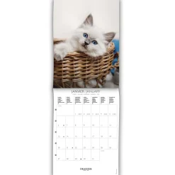 Calendriers|Agendas*Draeger Paris Petit Calendrier Mensuel 2025 14x18 cm - Chats