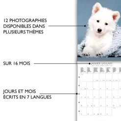 Calendriers|Agendas*Draeger Paris Petit Calendrier Mural 14x18 cm 2025