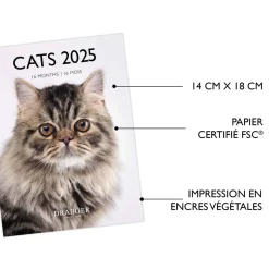 Calendriers|Agendas*Draeger Paris Petit Calendrier Mural 14x18 cm 2025