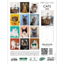 Calendriers|Agendas*Draeger Paris Petit Calendrier Mural 14x18 cm 2025