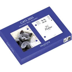 Agendas*Draeger Paris Recharge éphéméride agenda Yvon 2025 - Plusieurs Thèmes