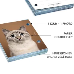 Agendas*Draeger Paris Recharge éphéméride agenda Yvon 2025 - Plusieurs Thèmes