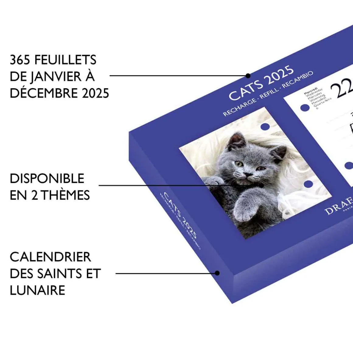 Agendas*Draeger Paris Recharge éphéméride agenda Yvon 2025 - Plusieurs Thèmes