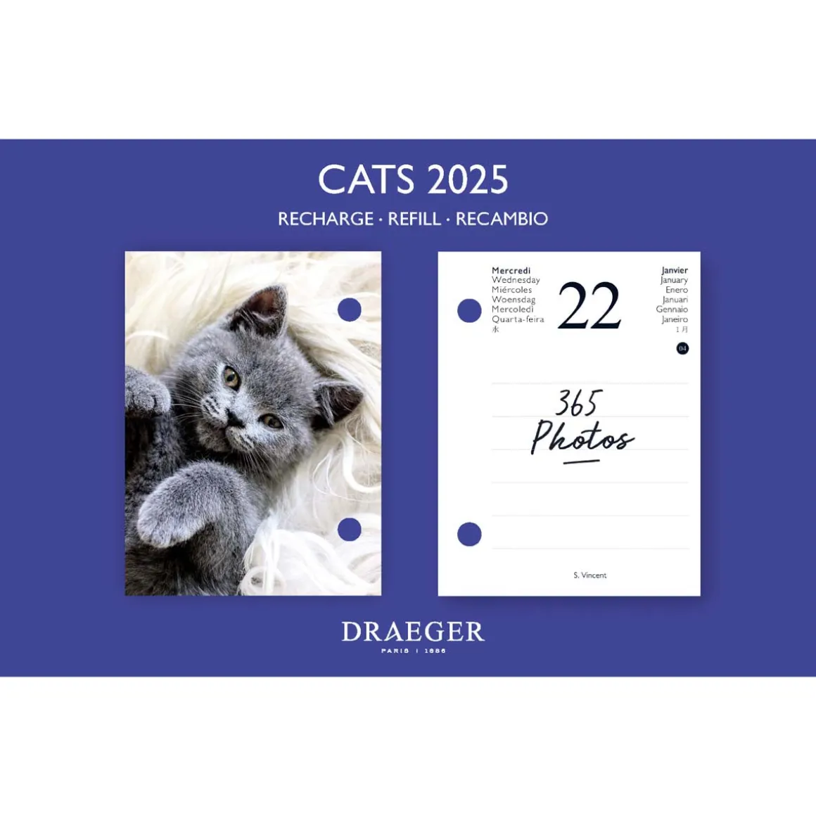 Agendas*Draeger Paris Recharge éphéméride agenda Yvon 2025 - Edition Chat