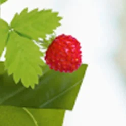 Stickers De Fenetre|Stickers & Embellissements*Draeger Paris Sticker fenêtre Jardin et papillons